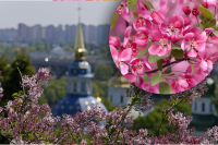 Чистый четверг 2023: 4 запрета, которые категорически нельзя нарушать - приметы 13 апреля