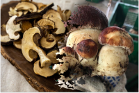 Не зможете відірватися: як правильно приготувати ароматні сушені гриби