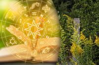 Гороскоп на тиждень 24-30 квітня 2023: Дівам - погане самопочуття, Овнам - багато роботи