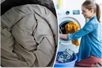 Як випрати важку ковдру у пральній машині: 10 головних правил, які повинні знати всі
