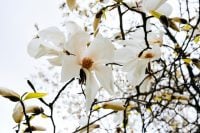 Чому 27 квітня не можна вимірювати свій зріст: прикмети і що не можна робити