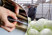 Це не межа: в Україні ціни на капусту за тиждень злетіли майже на 30%