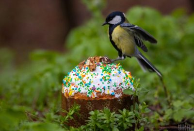 весна, прикмети