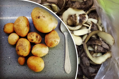 Для чего используют картофельные очистки Для чего используют картофельные очистки