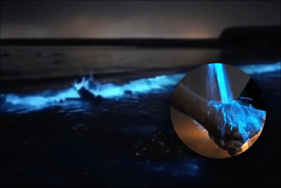 Тихий океан, голубая вода Тихий океан, голубая вода