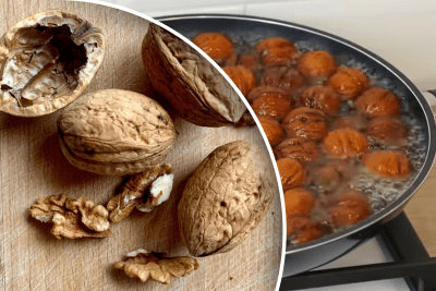 орехи орехи