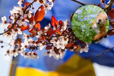 погода, погода в Украине