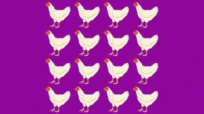 Хитра головоломка, розгадати яку непросто: як знайти курку з особливою лапою