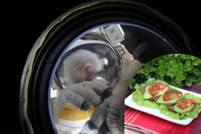 Что нельзя брать в космос Что нельзя брать в космос