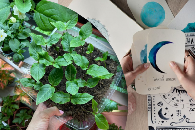 Місячний посівний календар на травень Місячний посівний календар на травень