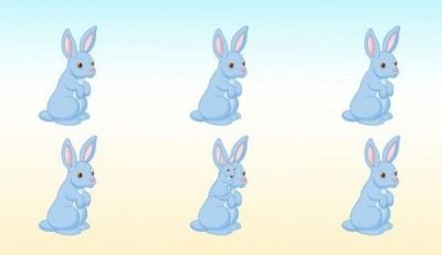 Головоломка Головоломка