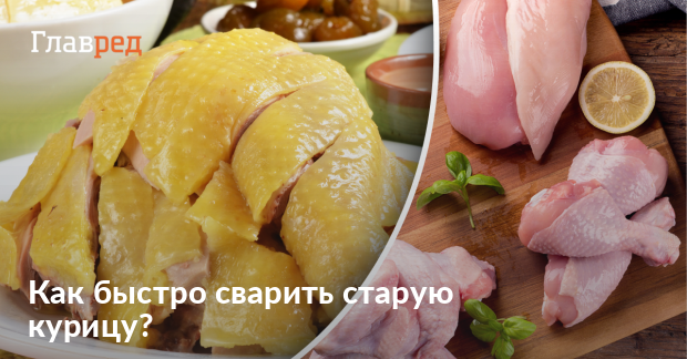 Старая домашняя курица. Как приготовить?, Кулинария