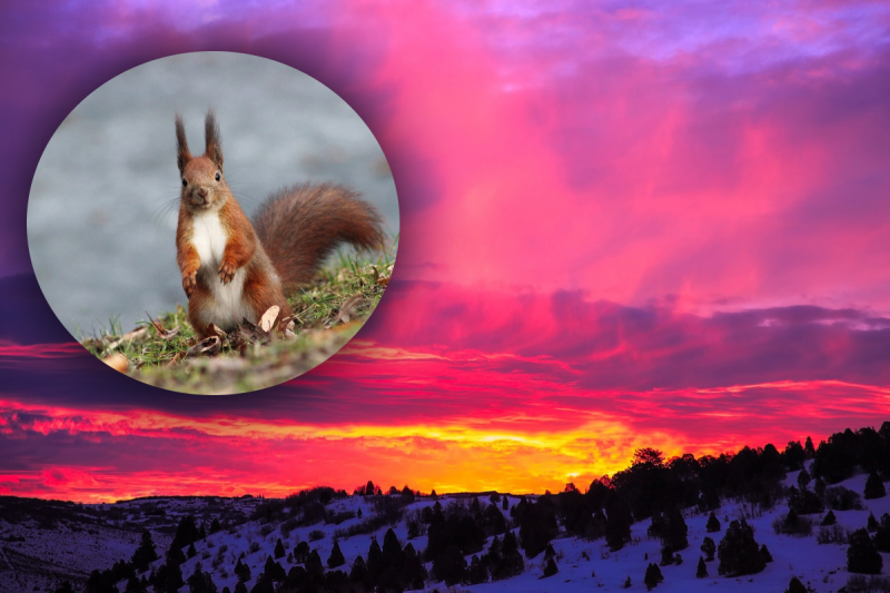 Сніг замітатиме Україну: синоптики попередили про потужний циклон і "дикі" зливи