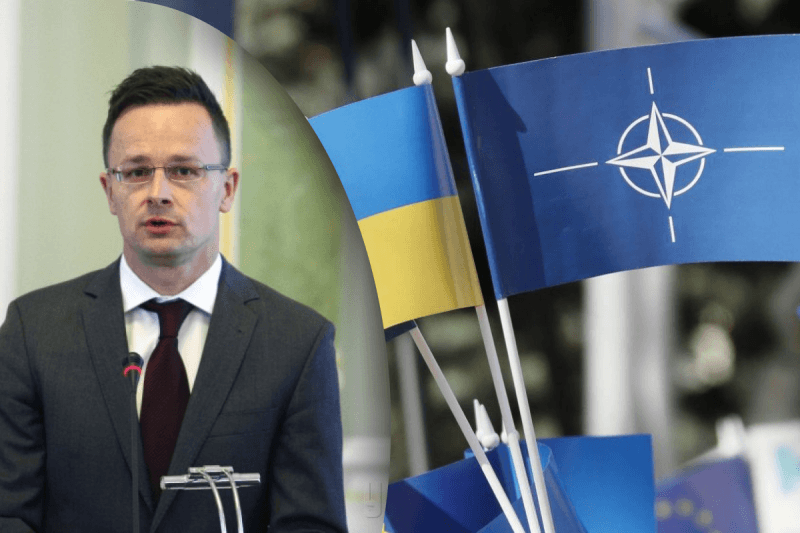 "Украинцы вернут Закарпатье и права": в Венгрии истерят из-за подготовки Украины к вступлению в НАТО