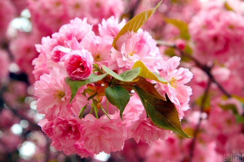 Потепление +22 ворвется быстро: синоптики назвали самый жаркий день апреля