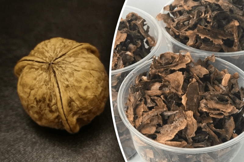 Какая польза от ореховых перегородок: 3 удивительных свойства, о которых вы не знали