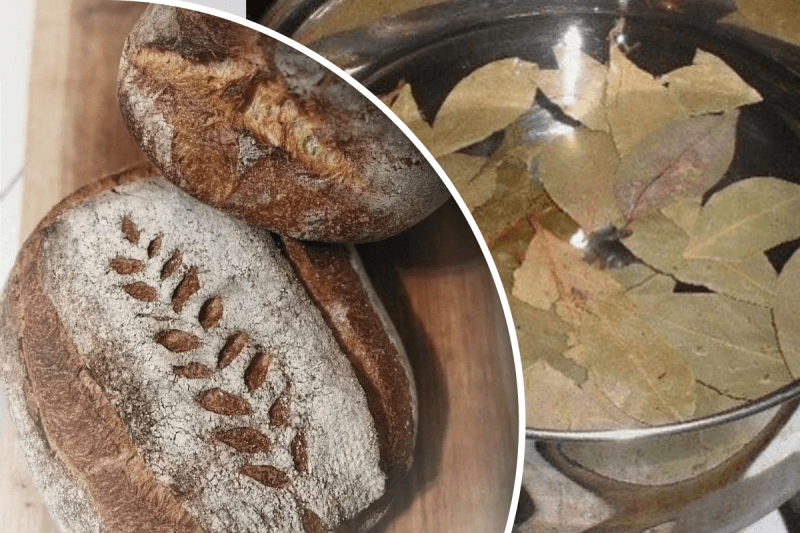 Что положить в муку чтобы не заводились жучки: 3 предмета, которые спасут продукт