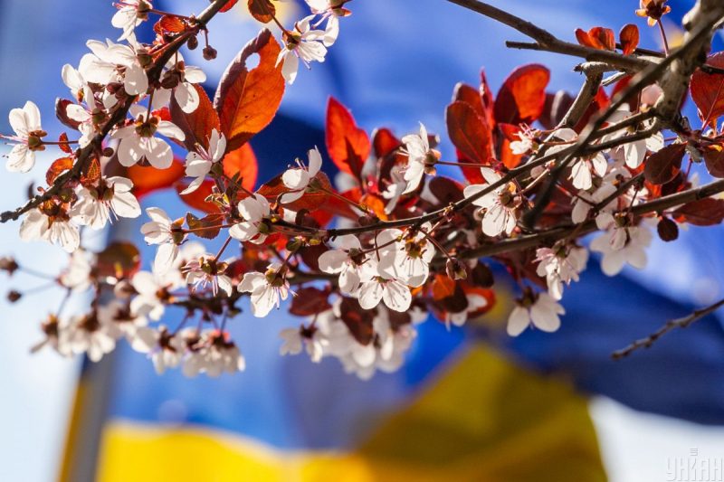 Чому 23 квітня не можна готувати з самого ранку: прикмети і що не можна робити