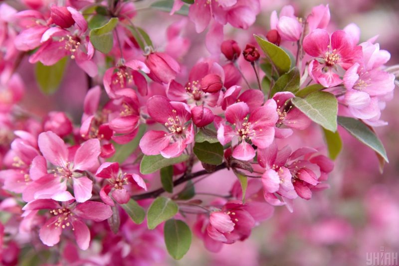 Чому 25 квітня сіль і цукор боялися чіпати: прикмети і що не можна робити