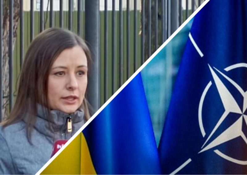 "Порадьтеся з РФ": в Угорщині висунули дивну умову вступу України в НАТО