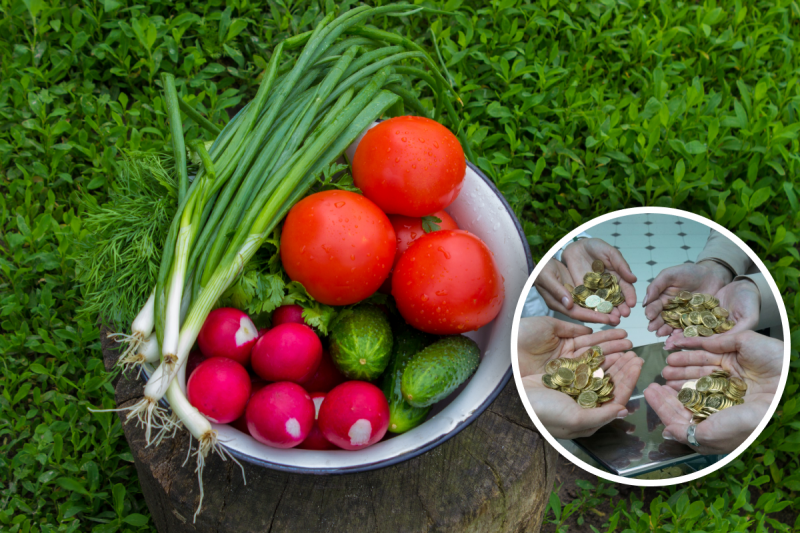 В Україні після довгого подорожчання з'являться нові ціни на популярні овочі: пояснення експерта