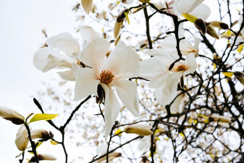 Чому 27 квітня не можна вимірювати свій зріст: прикмети і що не можна робити