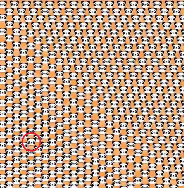 Головоломка Головоломка