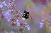Як перевірити, що в будинку грошова удача 3 травня: прикмети і що не можна робити
