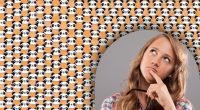 Головоломка для найнаполегливіших: лише одиниці зможуть за 10 секунд знайти сумну панду