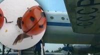 Загадка СССР: зачем с самолетов сбрасывали специально обученных божьих коровок