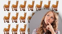 Загадка, которая заставит бросить себе вызов: нужно найти странную лошадь за 8 секунд
