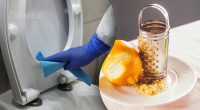 Что сделать, чтобы в туалете вкусно пахло: простые хитрости из подручных средств