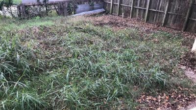 Чоловік купив будинок і втратив дар мови від знахідки в саду за ним