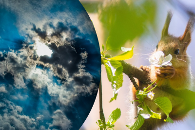 У травні Україну накриє аномальний холод: синоптик назвав дати