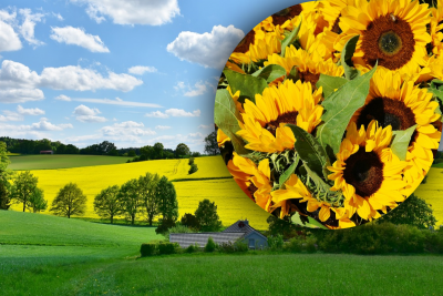 Спеки не буде: синоптик озвучив прогноз погоди для України на літо 2023