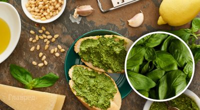 Базилік Базилік