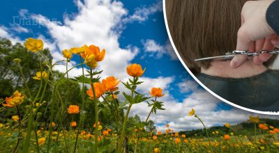 Календар стрижок і здоров'я на Червень 2023  Календар стрижок і здоров'я на Червень 2023