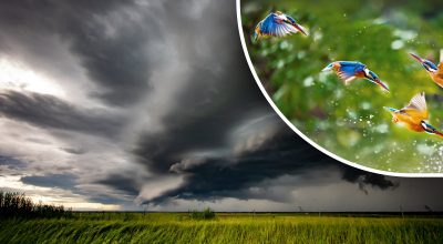 Погода, погода в Україні 