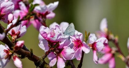 Різкий погодний поворот: синоптики розкрили терміни потепління в Києві