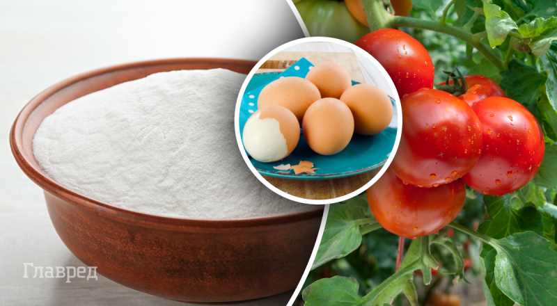 Пищевая сода творит фантастику: 5 балдежных трюков, которые вызывают фурор