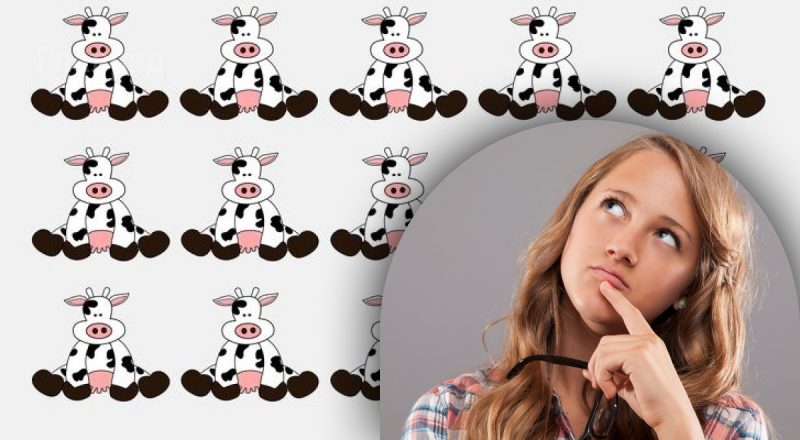 Загадка с подвохом: нужно за 10 секунд найти корову, которая отличается от других