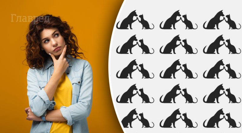 Загадка, которая под силу лишь единицам: нужно за 10 секунд найти "странных животных" на рисунке