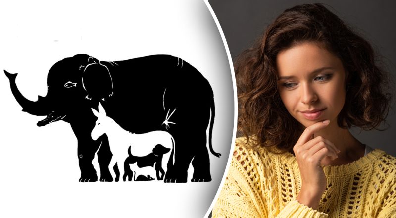 Загадка, яка більшість людей зажене у глухий кут: потрібно за 19 секунд знайти 13 захованих тварин