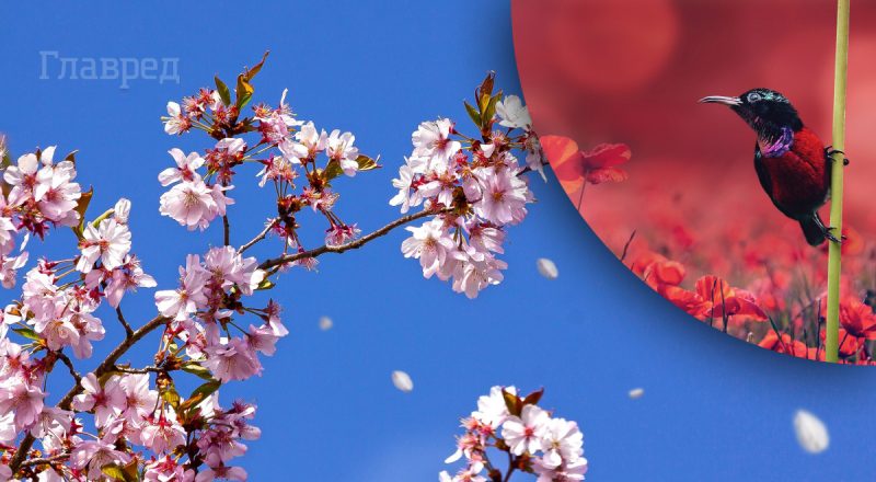 Синоптик назвала нову дату потепління: жарища повертається