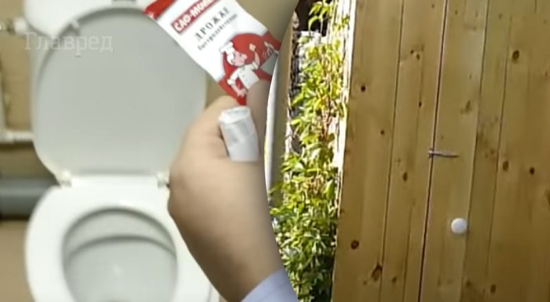 Що буде, якщо кинути дріжджі в унітаз або туалет: чи працює шкільна легенда