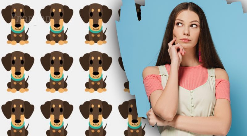 Только самые внимательные найдут веселую собаку за 5 секунд: загадка на скорость реакции