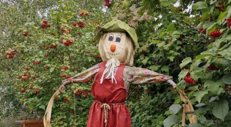 Як правильно зробити опудало: класні ідеї для вашого саду та городу