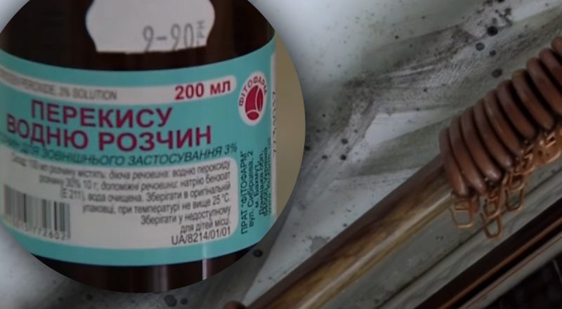 Перекис водню - "вбивця" чорної цвілі: як її використовувати