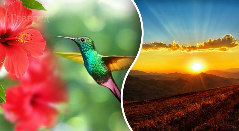 Пекло наступає: синоптики розповіли, де почнеться атака потужної спеки