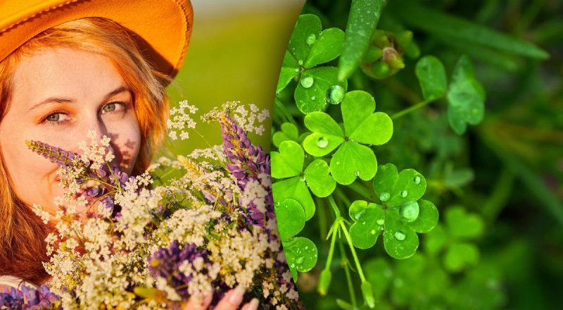 3 знака зодиака, которым июнь принесет счастье: будет везти во всем